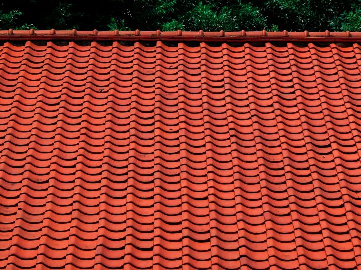 pexels-hngstrm-5401232-scaled.jpg