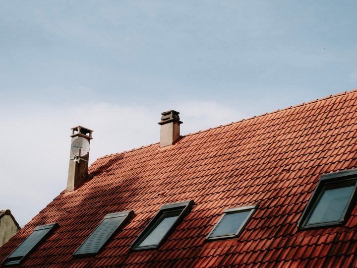 pexels-matreding-11912130
